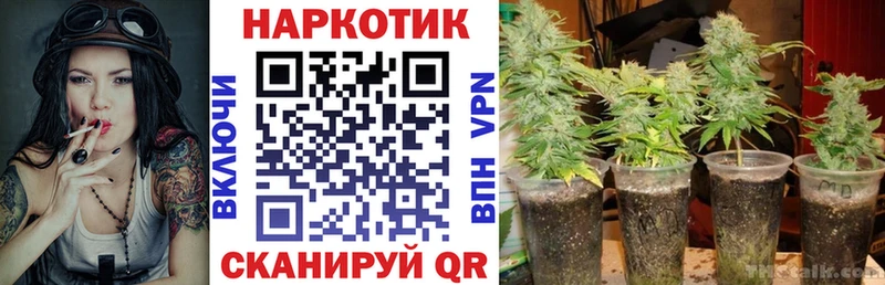 Купить наркотики Харовск Alpha-PVP Меф ГАШ Галлюциногенные грибы Конопля
