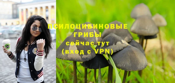 гидропоника Алексин
