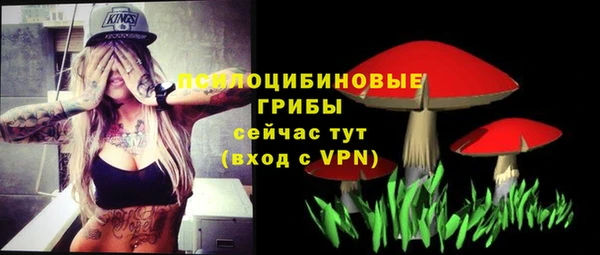 спиды Алзамай