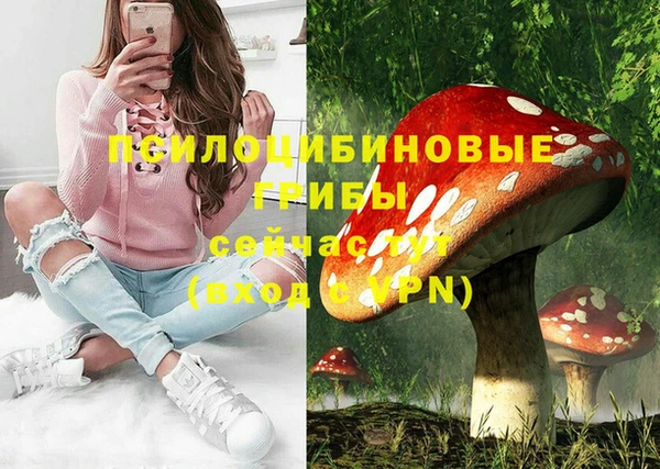 спиды Алзамай