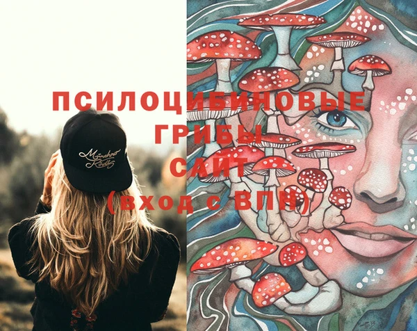 гидропоника Алексин